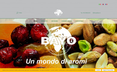 bayo.it screenshot