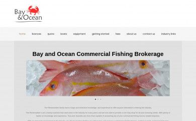 bayocean.com.au screenshot