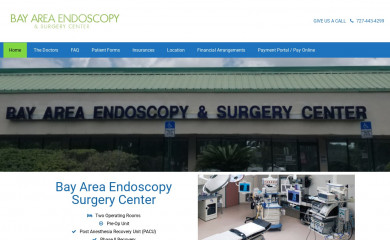 bayareaendoscopy.com screenshot