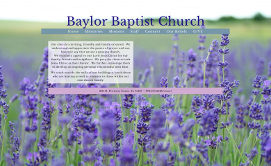 baylorennis.org screenshot