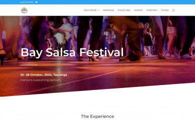 baysalsafestival.co.nz screenshot