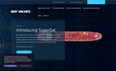 bayvalves.com screenshot