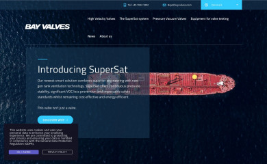 bayvalves.com screenshot