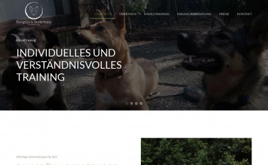 bb-hundetraining.de screenshot