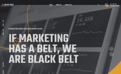 bbeltmarketing.com screenshot