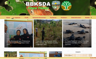 bbksdajatim.org screenshot