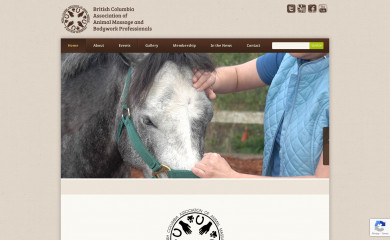 bcaambp.org screenshot