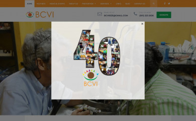 bcvi.org screenshot