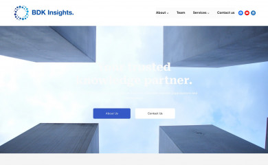 bdkinsights.com.au screenshot