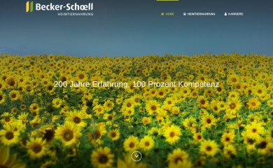 becker-schoell.de screenshot