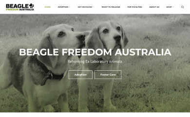 beaglefreedomaustralia.org screenshot