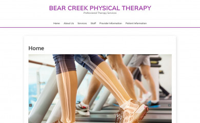 bearcreekphysicaltherapy.com screenshot