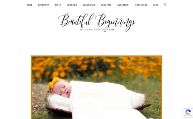 beautiful-beginnings.org screenshot