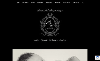 beautiful-beginnings.org screenshot