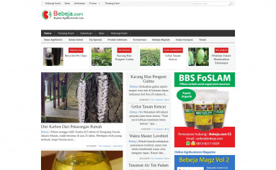 bebeja.com screenshot