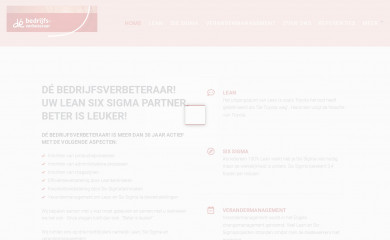 bedrijfsverbeteraar.nl screenshot