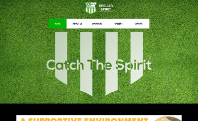 beeliarspirit.org screenshot