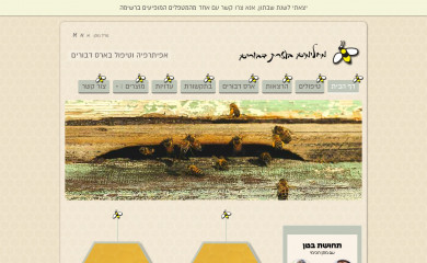 beelive.co.il screenshot