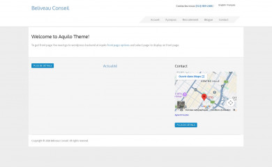 beliveauconseil.com screenshot