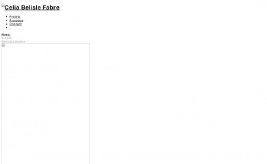 belislefabre.fr screenshot