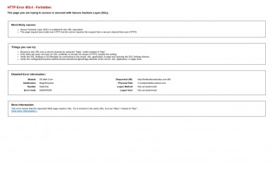 bellacatturastudios.com screenshot