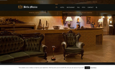bellamuzica.ro screenshot