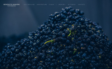 benedictemaniere.com screenshot