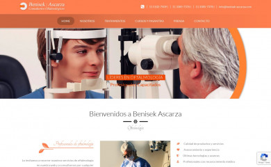 benisek-ascarza.com screenshot