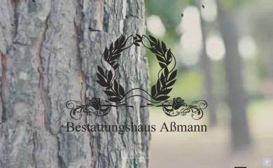 bestattungshaus-assmann.de screenshot