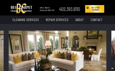bestcarpetrestoration.com screenshot