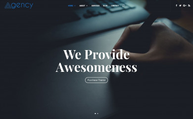 Divi Agency screenshot