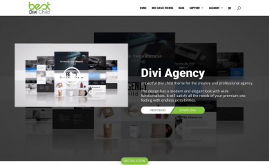Divi Agency screenshot