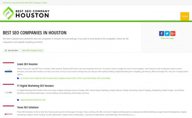 bestseocompanyhouston.com screenshot
