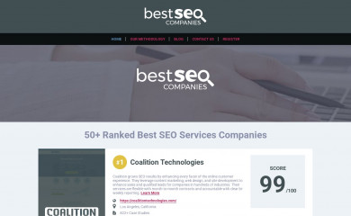bestseoservicecompanies.com screenshot