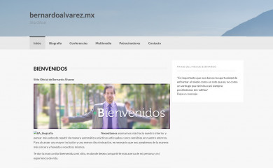 bernardoalvarez.mx screenshot
