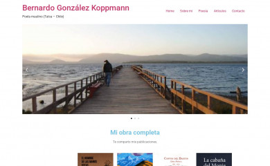 bernardogonzalezkoppmann.cl screenshot