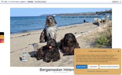 bergamasker-hirtenhund.info screenshot