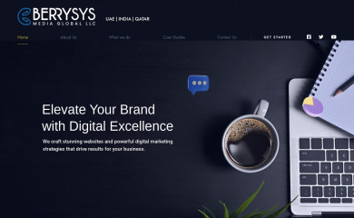 berrysysglobal.com screenshot