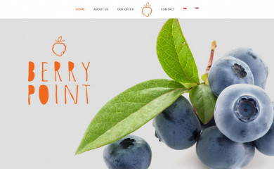 berrypoint.eu screenshot