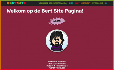 bertsite.nl screenshot