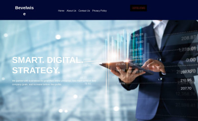bevelwise.com screenshot