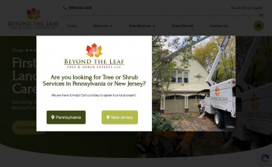 beyondtheleaftreeservice.com screenshot