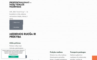 bfgroup.lt screenshot