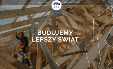 bfd.com.pl screenshot