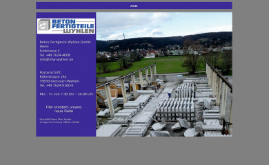 bfw-wyhlen.de screenshot