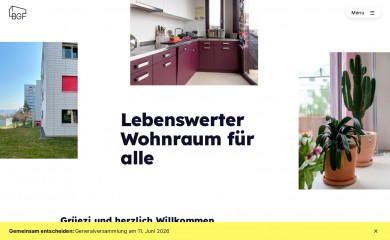 bgf.zuerich screenshot