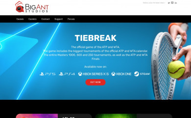 bigant.com screenshot