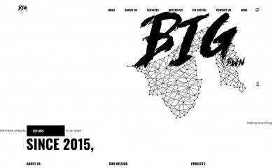 bigbwnproject.com screenshot