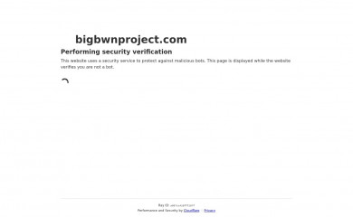 bigbwnproject.com screenshot