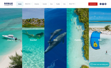 bigbluecollective.com screenshot
